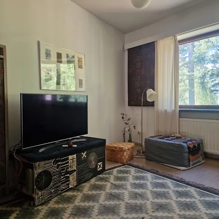 Saeynaetsalo Town Hall Apartamento Saynatsalo