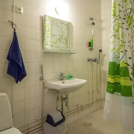 Saeynaetsalo Town Hall アパート *